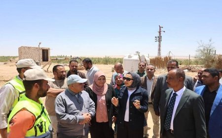 محافظ الوادي الجديد يزور المشروع الزراعي في قرى جورمشين بباريس لتعزيز التنمية الزراعية