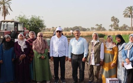 محافظ المنيا يتشارك مع المزارعين في حصاد القمح بمركز سمالوط وأهمية القمح في تعزيز الأمن القومي