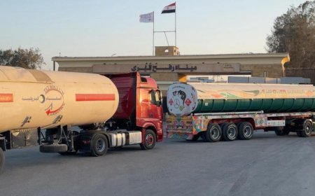 الهلال الأحمر المصري يوزع 105 آلاف سلة غذائية على المتضررين في قطاع غزة