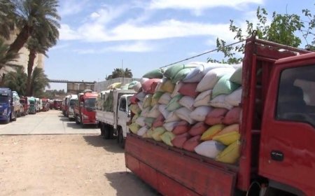 محافظ سوهاج يعلن عن توريد أكثر من 20 ألف طن من القمح وضمان صرف مستحقات المزارعين