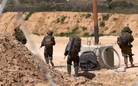 قوات الاحتلال تغلق طرقات في بيت لحم ومستوطنتان تهاجمان أشجار الزيتون بالضفة الغربية