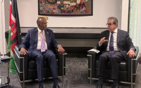 وزير الصحة المصري يتباحث مع نظيره الكيني لتعزيز التعاون الصحي وتبادل الخبرات الطبية
