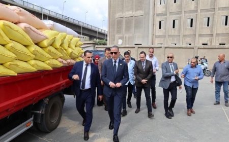 محافظ الجيزة يزور صومعة إمبابة لمتابعة سير تخزين محصول القمح وتوريداته