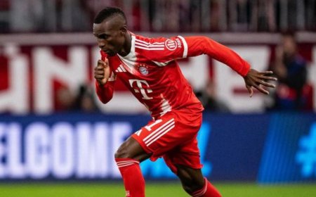 جاكسون يعود إلى تشيلسي بعد رحلته الناجحة مع بايرن ميونيخ