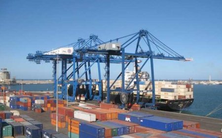 ميناء دمياط يستقبل 24 سفينة حاويات وبضائع عامة في يوم حافل للنشاط التجاري