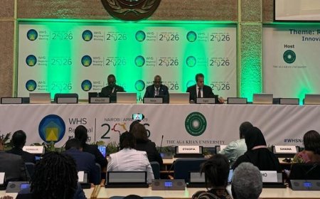 وزير الصحة يكشف عن رؤى جديدة لإصلاح النظام الصحي العالمي