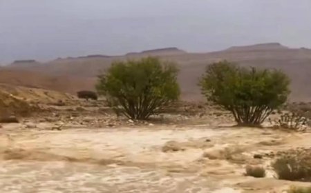 وزير الري يرصد تطورات السيول في محافظة شمال سيناء اليوم