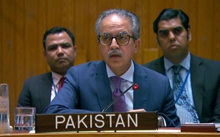 باكستان تؤكد أمام مجلس الأمن أهمية أمن الممرات البحرية وتعهدها بحماية التجارة بشكل مستدام