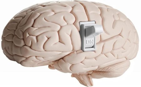 اكتشاف جديد للعلماء مفتاح التحكم في الألم المزمن داخل الدماغ