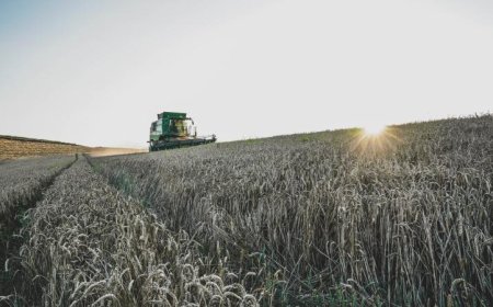 ارتفاع أسعار الأسمدة نتيجة حرب إيران يعصف بالإنتاج الغذائي العالمي