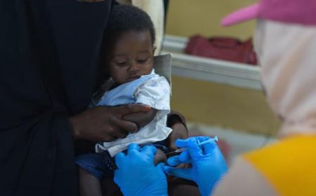 السنغال تعزز رعايتها الصحية بإدراج لقاح الملاريا بحلول 2027