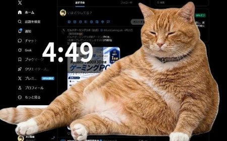 قط ضخم يجذب الأنظار ويحثك على التوقف عن تصفح السوشيال ميديا ومواجهة إدمان الإنترنت