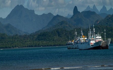 الأمين العام للمنظمة البحرية الدولية يؤكد على أن حرية الملاحة أمر غير قابل للتفاوض