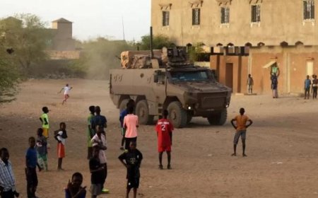 دول الساحل الأفريقي تؤكد تضامنها القوي مع مالي في ظل التحديات الراهنة