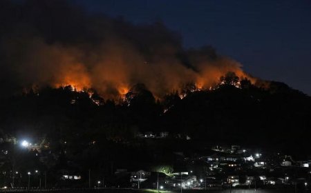 اليابان تحقق تقدمًا ملحوظًا في السيطرة على حرائق الغابات