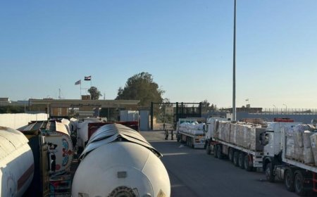 قافلة زاد العزة 184 تصل إلى غزة وتقدم الدعم للفلسطينيين