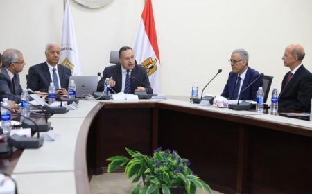 مصر تتألق عالميًا في مجال الاستثمار بالتعليم العالي وفقًا لتصريحات قنصوة