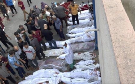 الصحة الفلسطينية تعلن عن زيادة حصيلة الشهداء في قطاع غزة إلى 72594 شهيدا