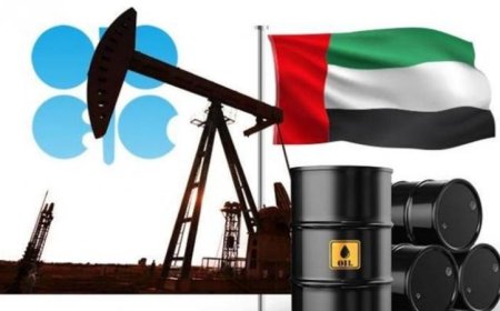 الإمارات تخرج من منظمة أوبك وأوبك+ بدءا من أول مايو 2024