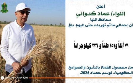 محافظ المنيا يكشف عن توريد أكثر من 71 ألف طن قمح لصوامع وشون المحافظة منذ بداية موسم 2026