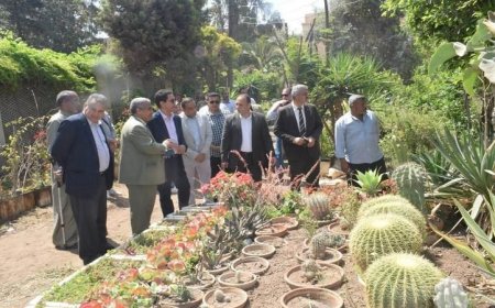 د. الجيزاوي يكشف عن الجدول الزمني لاستلام مبنى وقاية النبات وموعد دخوله الخدمة في العام الجديد