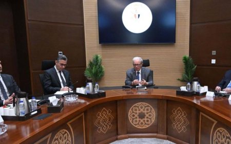 نائب رئيس الوزراء الاقتصادي يراقب تقدم توفير السلع ومستلزمات الإنتاج الأساسية