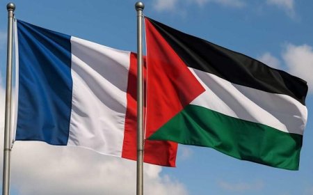 فرنسا تدعم إجراء الانتخابات البلدية في الضفة الغربية وغزة وسط التحديات الراهنة