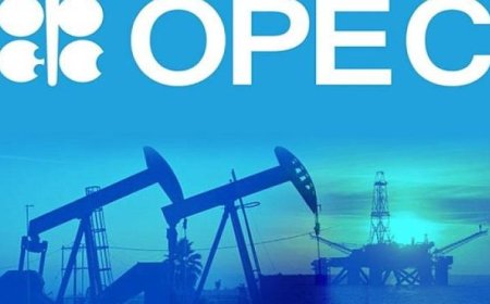 الإمارات تنسحب من أوبك وخبراء الطاقة يؤكدون أن القرار يحرر أبوظبي في تسعير وإنتاج النفط