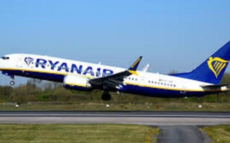 تحذير رئيس ريان إير من إفلاس شركات الطيران في حال استمرار ارتفاع أسعار الوقود