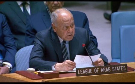 أبو الغيط يؤكد أن الاحتلال الإسرائيلي هو المحور الرئيسي لعدم الاستقرار في الشرق الأوسط