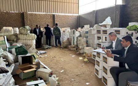 حماية المستهلك في الجيزة تضبط 10 أطنان من المبيدات الزراعية المقلدة مع صور توضح التفاصيل