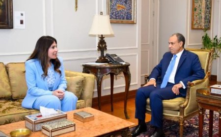 وزير الخارجية يناقش مع وزيرة الإسكان تعزيز الجهود الوطنية لدعم المصريين المغتربين