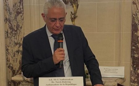 السفير طارق دحروج يؤكد استقرار مصر السياسي والأمني القوي