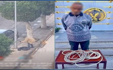 إلقاء القبض على مجرم في بورسعيد بتهمة سرقة أسلاك الكهرباء الخاصة بأعمدة الإنارة