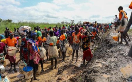 7.8 مليون شخص في جنوب السودان يواجهون أزمة انعدام الأمن الغذائي وفقاً لوكالات الأمم المتحدة