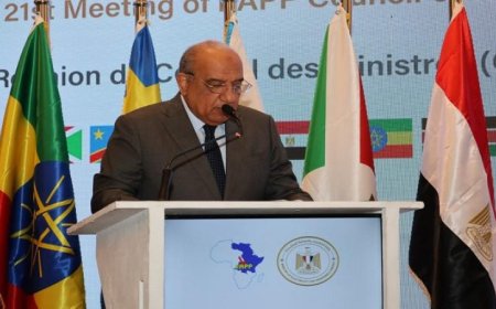 وزير الكهرباء يؤكد على أهمية التكامل الإقليمي كاستراتيجية لتعزيز الاستفادة من الموارد الطبيعية