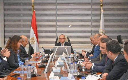 وزير الاستثمار يستعرض مع شركة صينية خطة إنشاء مجمع صناعي لإنتاج إطارات السيارات