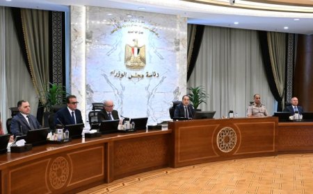 مجلس الوزراء يوافق على قرارات وتوصيات اللجنة الوزارية لحل منازعات الاستثمار