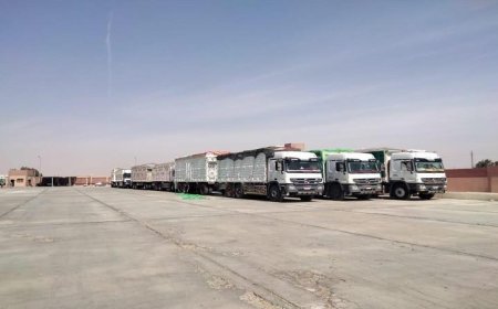 محافظ المنيا يعلن عن توريد أكثر من 80 ألف طن من القمح إلى الصوامع والشون