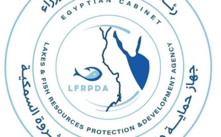 الحسين فرحات يكشف عن اعتماد أوروبي لخطط جهاز تنمية البحيرات استعدادًا لتصدير الأسماك