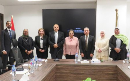 نائب وزير الصحة يقود اجتماع اللجنة التيسيرية لتنفيذ بروتوكول التعاون السكاني