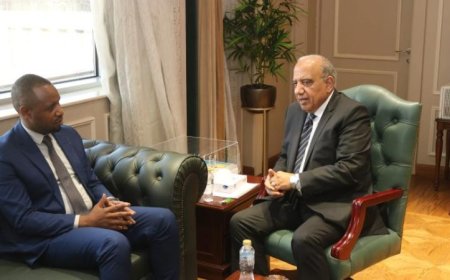 وزير الكهرباء يناقش مع نظيره الرواندي سبل تعزيز التعاون في مجال البنية التحتية