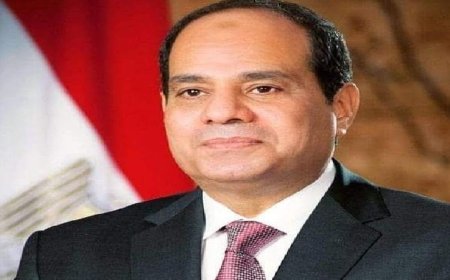 المحافظون يقدمون تهانيهم للرئيس السيسي بمناسبة عيد العمال ويشيدون بمساهمات العمال في التنمية المستدامة