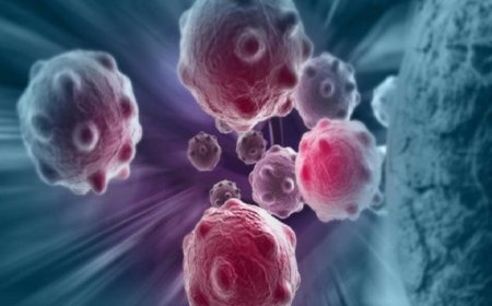عرض ثلاثي الأبعاد يكشف كيفية تدمير الخلايا التائية القاتلة للسرطان