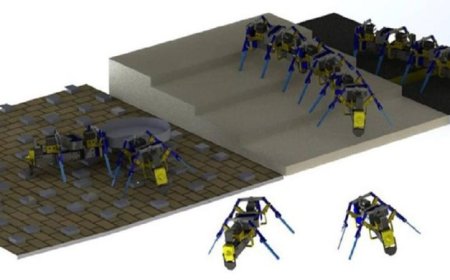 روبوتات شبيهة بالنمل تُحدث ثورة في مجالات البناء والتفكيك الذاتي