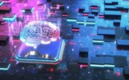 اكتشاف لحظة زمنية في الدماغ تعزز التعلم وتدعم الحركة