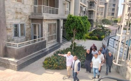 وزيرة الإسكان تواصل متابعة مشاريع وأعمال تطوير هامة في 4 مدن بالصعيد