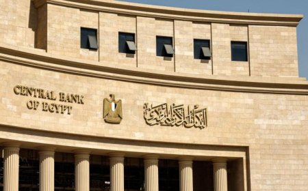البنك المركزي يعلن عن تحويلات المصريين بالخارج تصل إلى 29.4 مليار دولار في 8 أشهر
