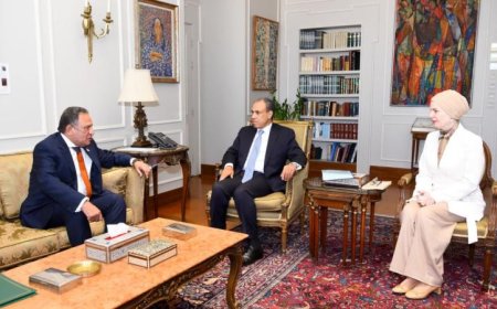 عبد العاطي يؤكد ضرورة تكثيف الجهود لتعزيز ثوابت السياسة الخارجية المصرية