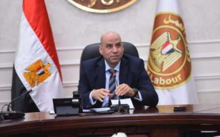 وزير العمل يقدم للرئيس خطة لتعزيز بيئة عمل عادلة وآمنة لتعزيز الإنتاج وزيادة الاستثمار